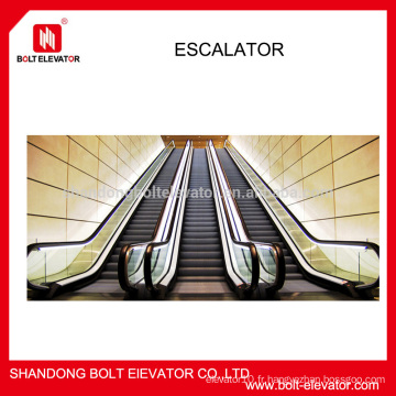 BOLT Luxury Indoor Types escalator prix pour Residential